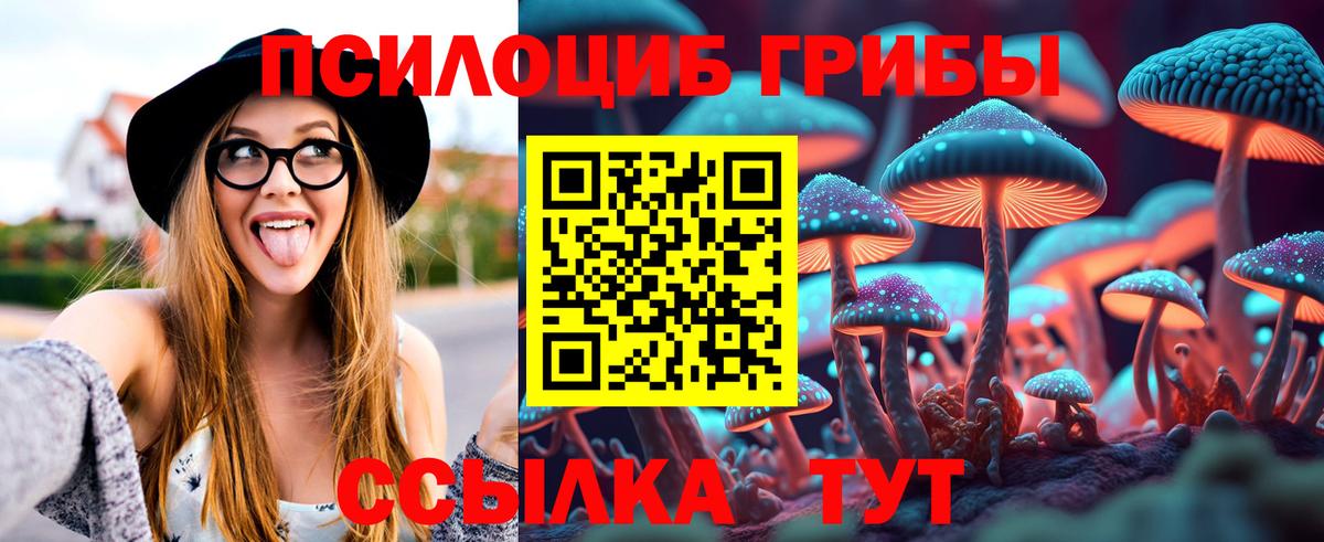 Иркутск  купить наркоту  Вход с VPN  Псилоцибиновые грибы прущие грибы  Галлюциногенные грибы прущие грибы 