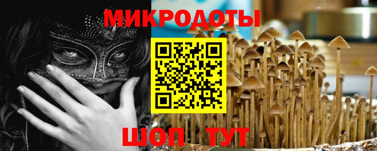 Галлюциногенные грибы GOLDEN TEACHER Иркутск